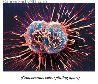 Cancer Cells Splitting - photo