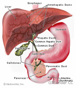 gallbladder cancer