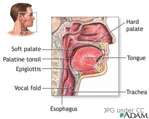 oral cancer