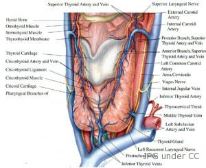 thyroid cancer