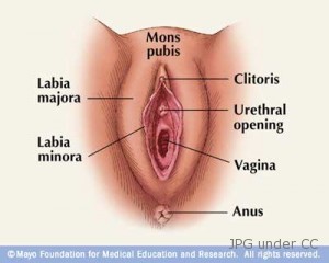 vulvar cancer